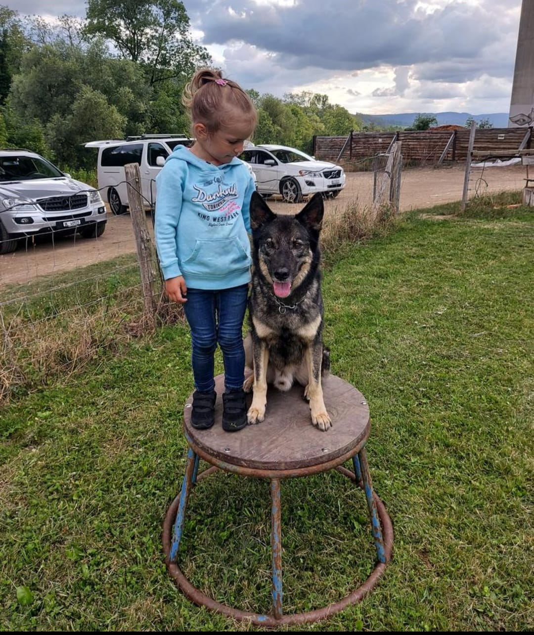 Hundeerziehung Baselland – glücklicher Hund beim Training