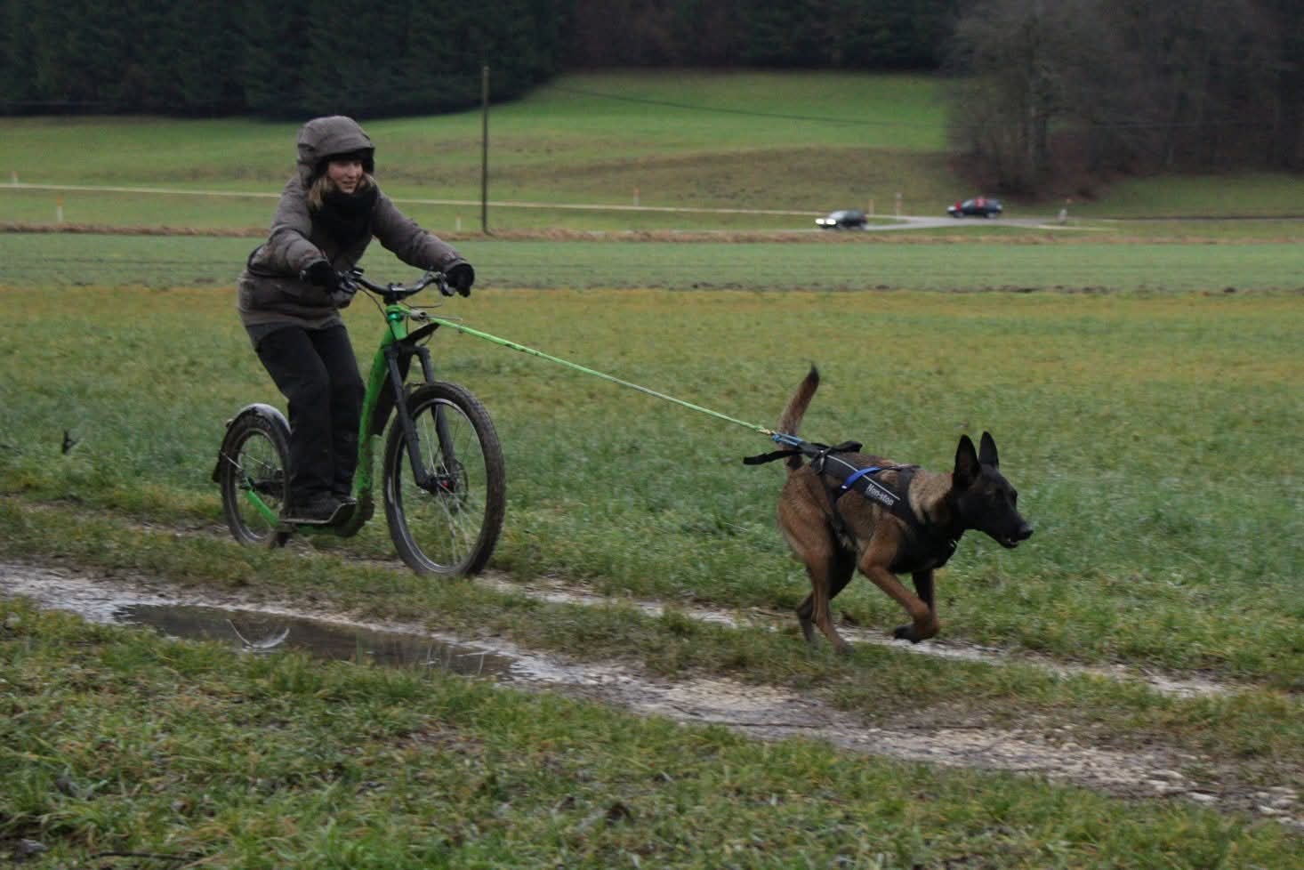 Junghundekurs Baselland – Joëlle Turtschi beim Hundetraining